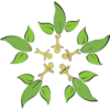 Logo humus sapiens pays d'oc permaculture